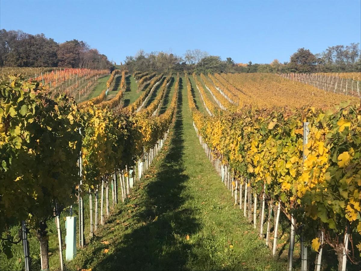 Weingut & Gaestezimmer Edelmann Goettlesbrunn ภายนอก รูปภาพ