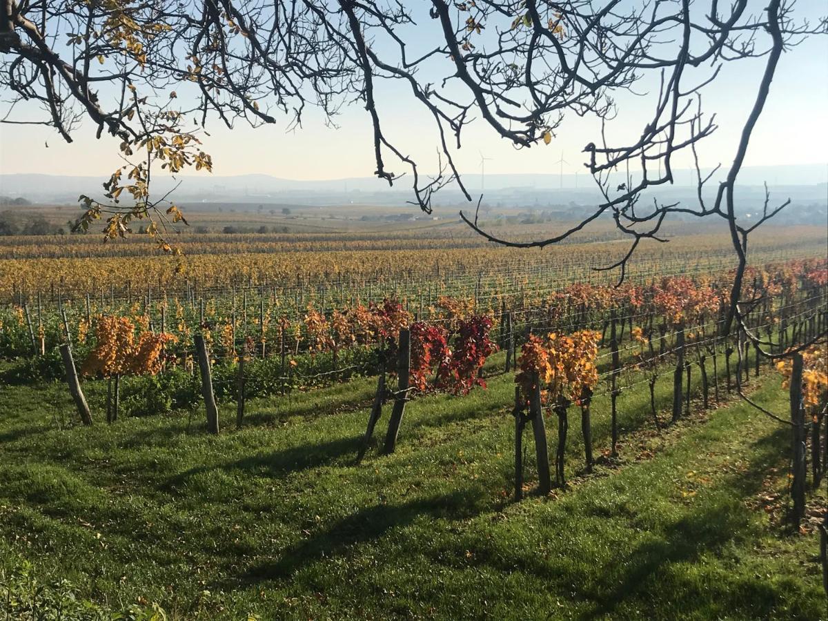 Weingut & Gaestezimmer Edelmann Goettlesbrunn ภายนอก รูปภาพ