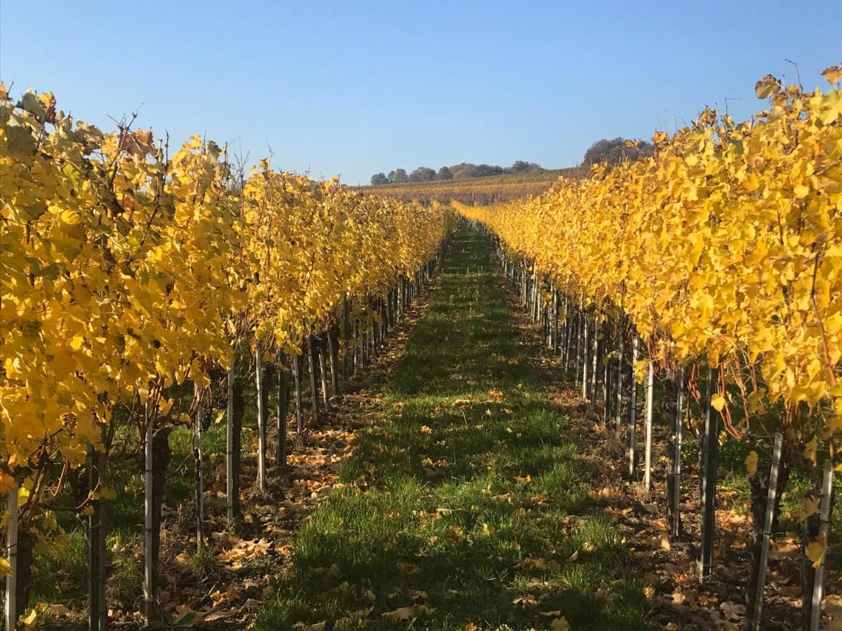 Weingut & Gaestezimmer Edelmann Goettlesbrunn ภายนอก รูปภาพ