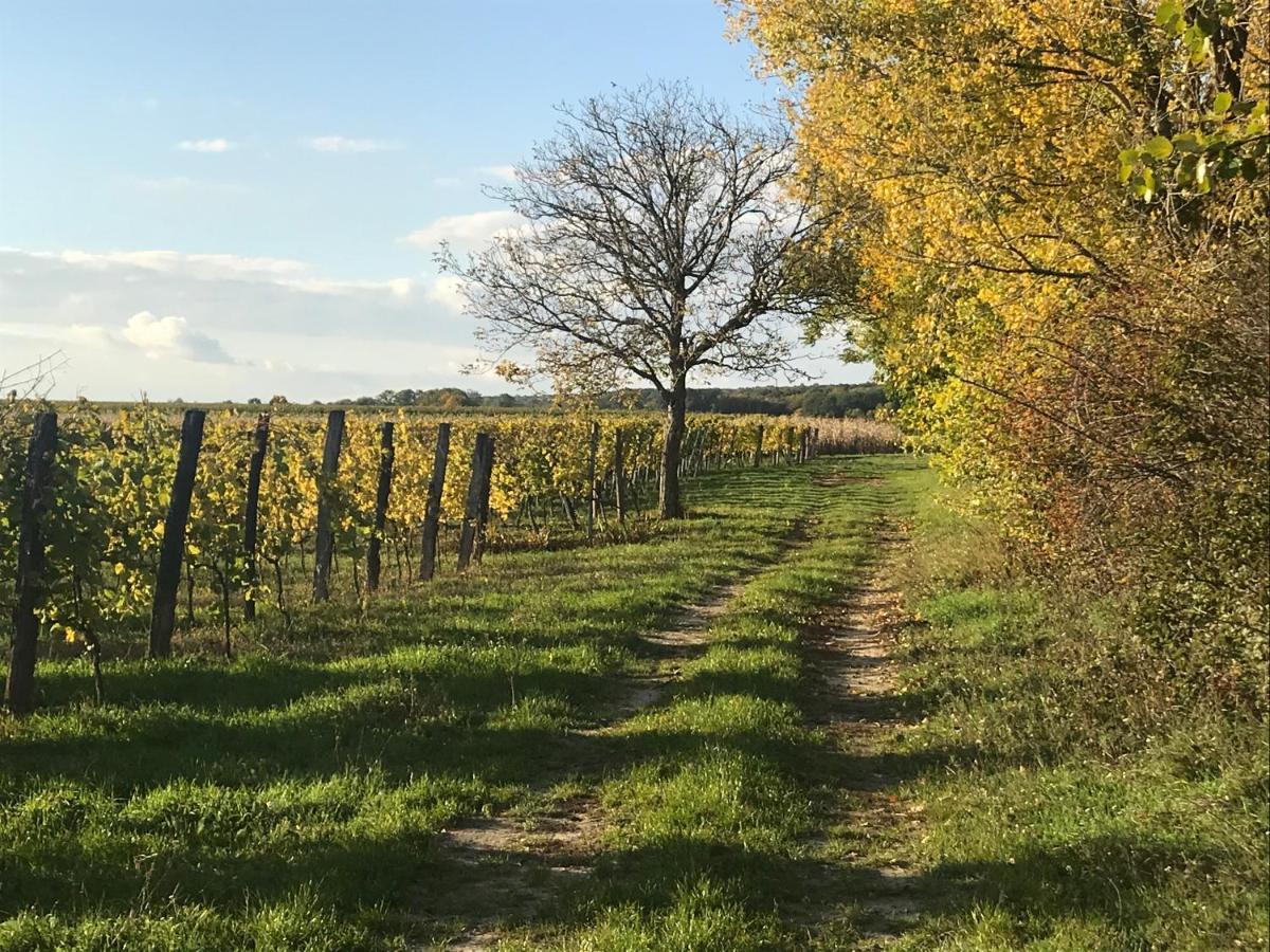 Weingut & Gaestezimmer Edelmann Goettlesbrunn ภายนอก รูปภาพ